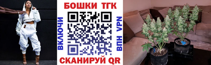 Шишки марихуана семена  гидра маркетплейс  Барнаул  shop наркотические препараты  сколько стоит 