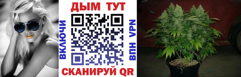 Каннабис VHQ Барнаул